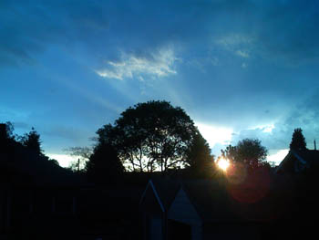 Sky & Tree